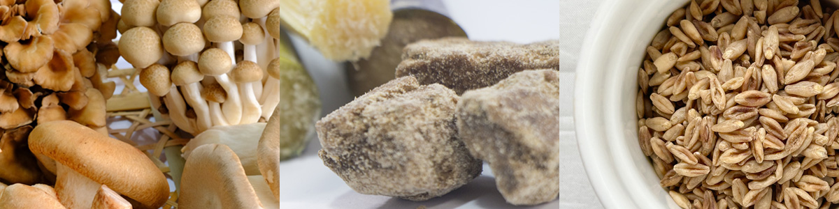 話題の成分「β-グルカン」とは?特徴や食品、研究の歴史を解説!
